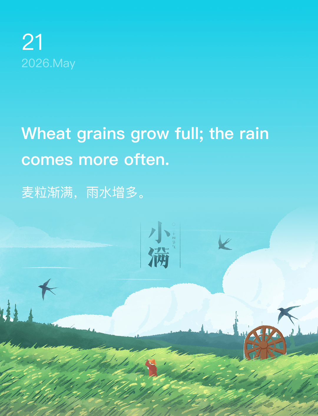 麦粒渐满，雨水增多。