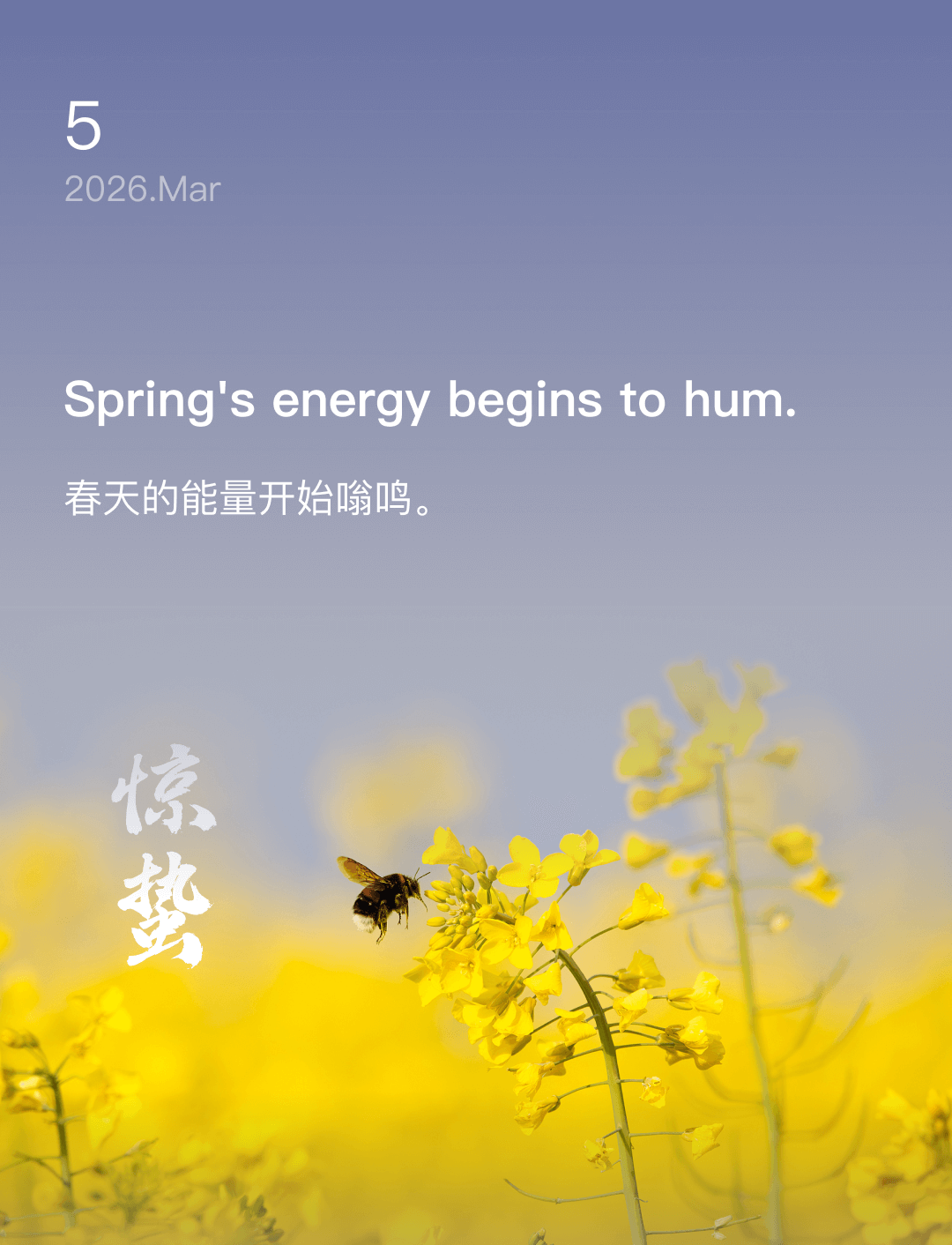 春天的能量开始嗡鸣。
