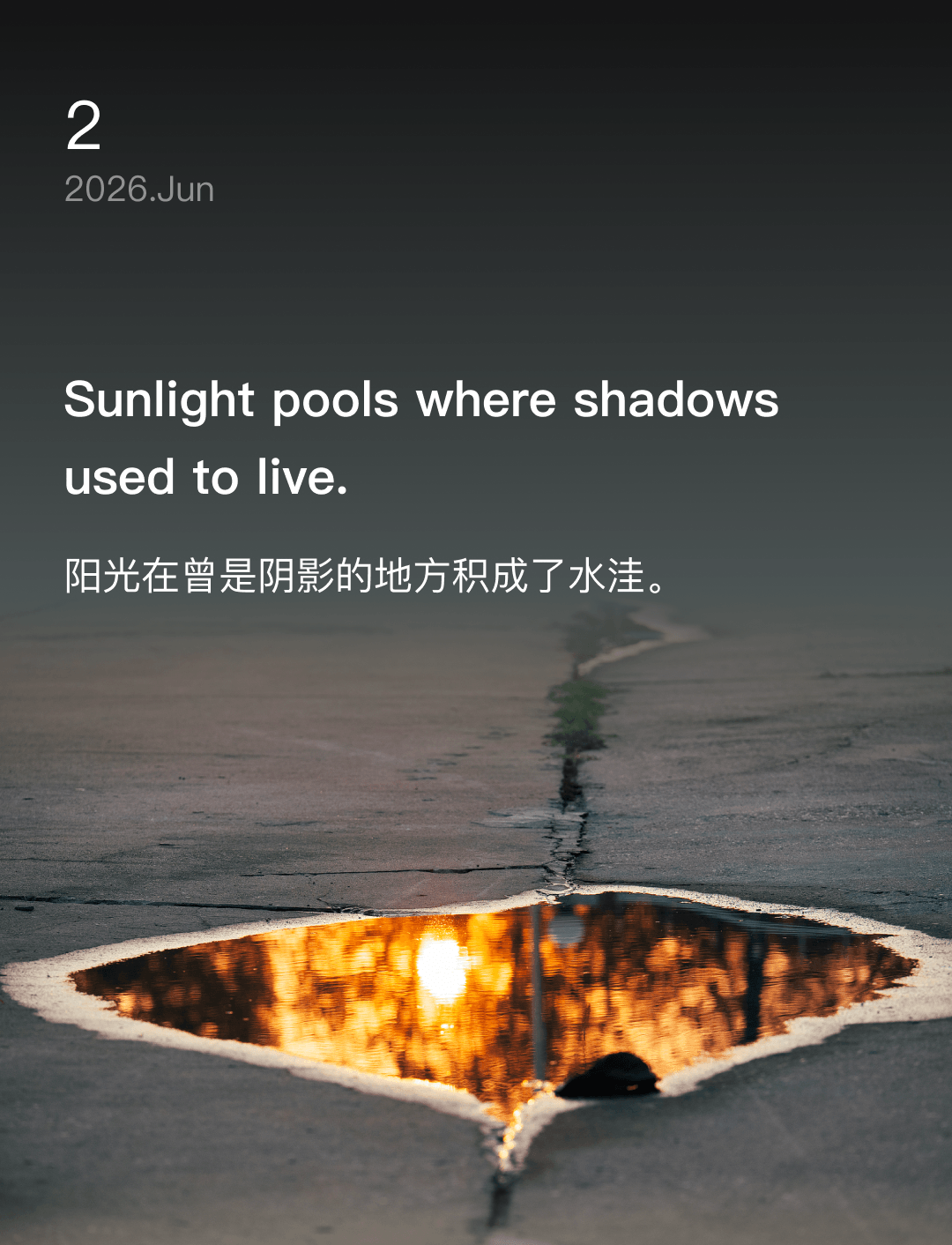 阳光在曾是阴影的地方积成了水洼。