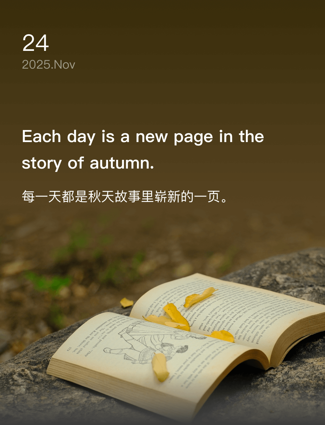每一天都是秋天故事里崭新的一页。