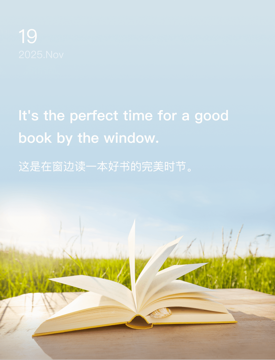 这是在窗边读一本好书的完美时节。