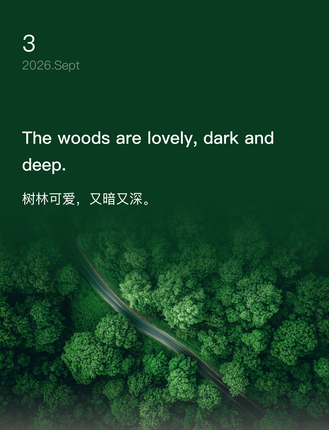 树林可爱,又暗又深。