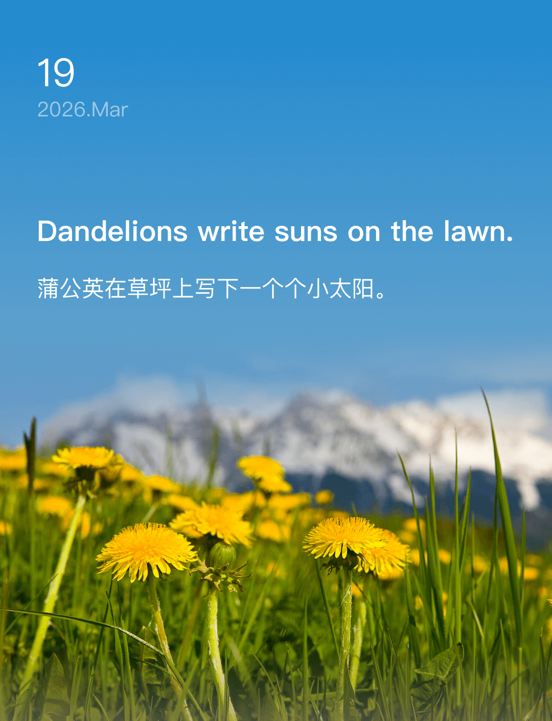蒲公英在草坪上写下一个个小太阳。