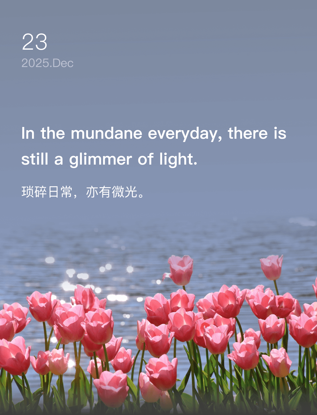琐碎日常，亦有微光。