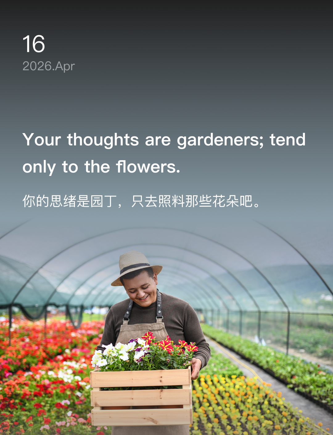 你的思绪是园丁，只去照料那些花朵吧。