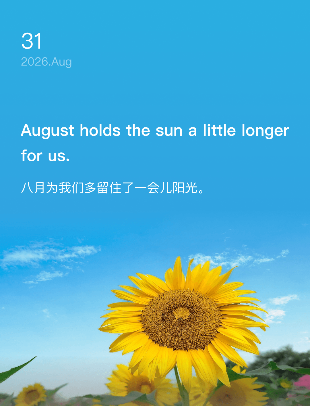 八月为我们多留住了一会儿阳光。
