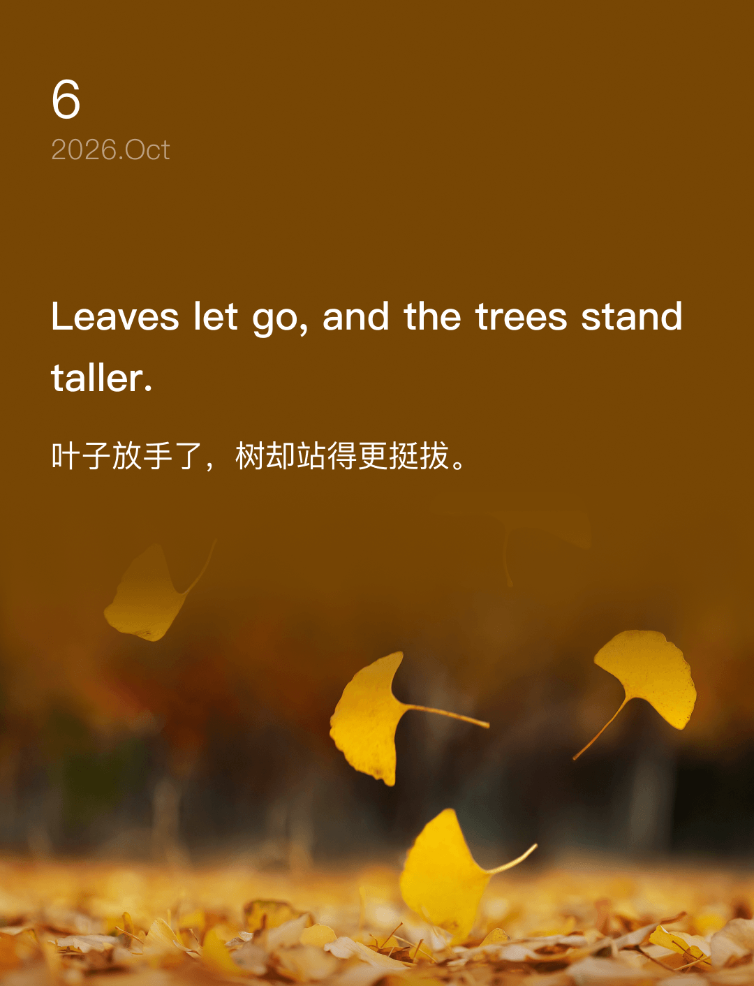 叶子放手了，树却站得更挺拔。