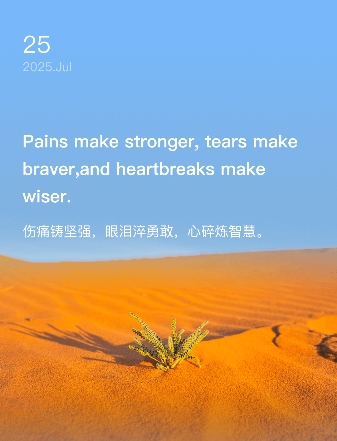 伤痛铸坚强，眼泪淬勇敢，心碎炼智慧。