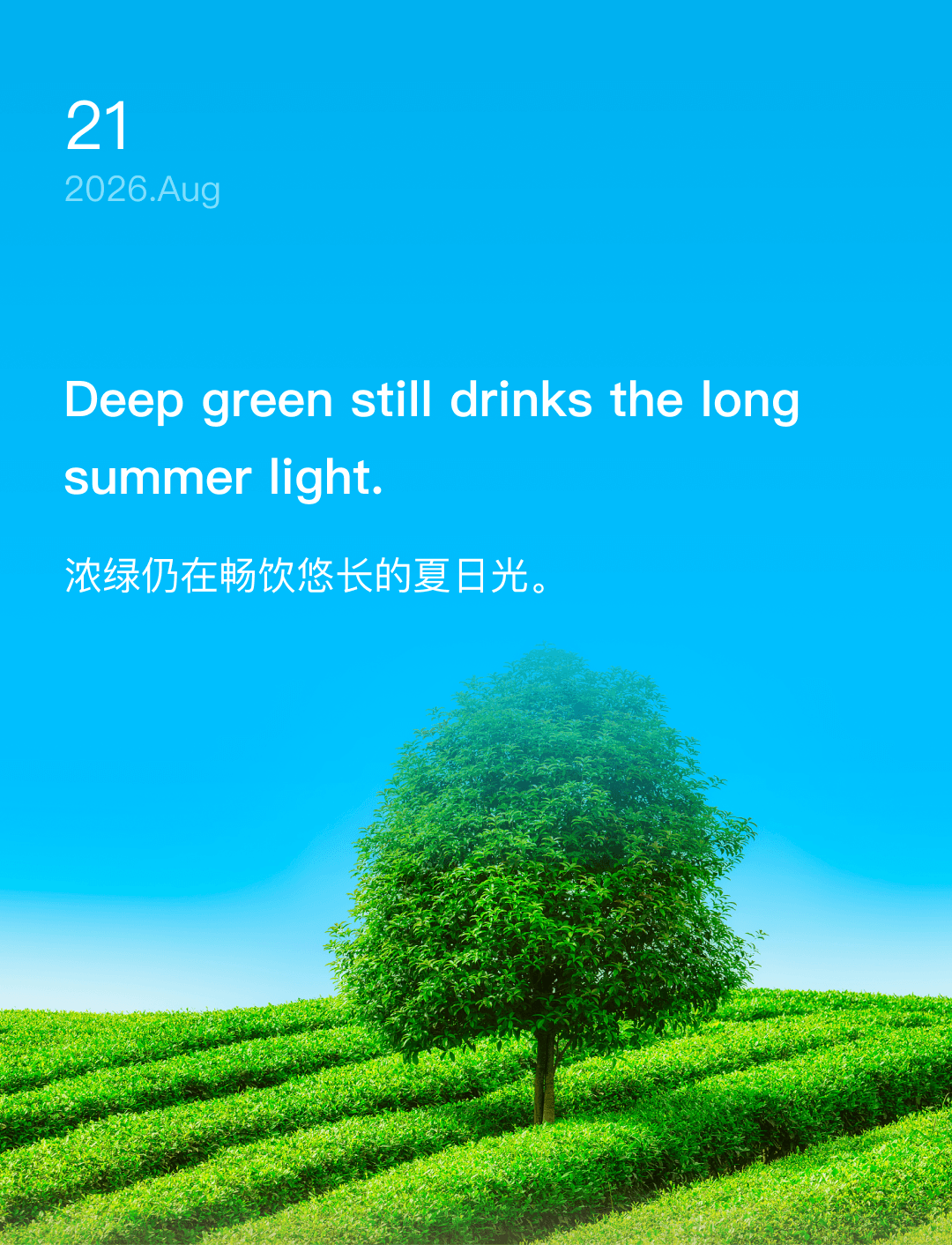 浓绿仍在畅饮悠长的夏日光。