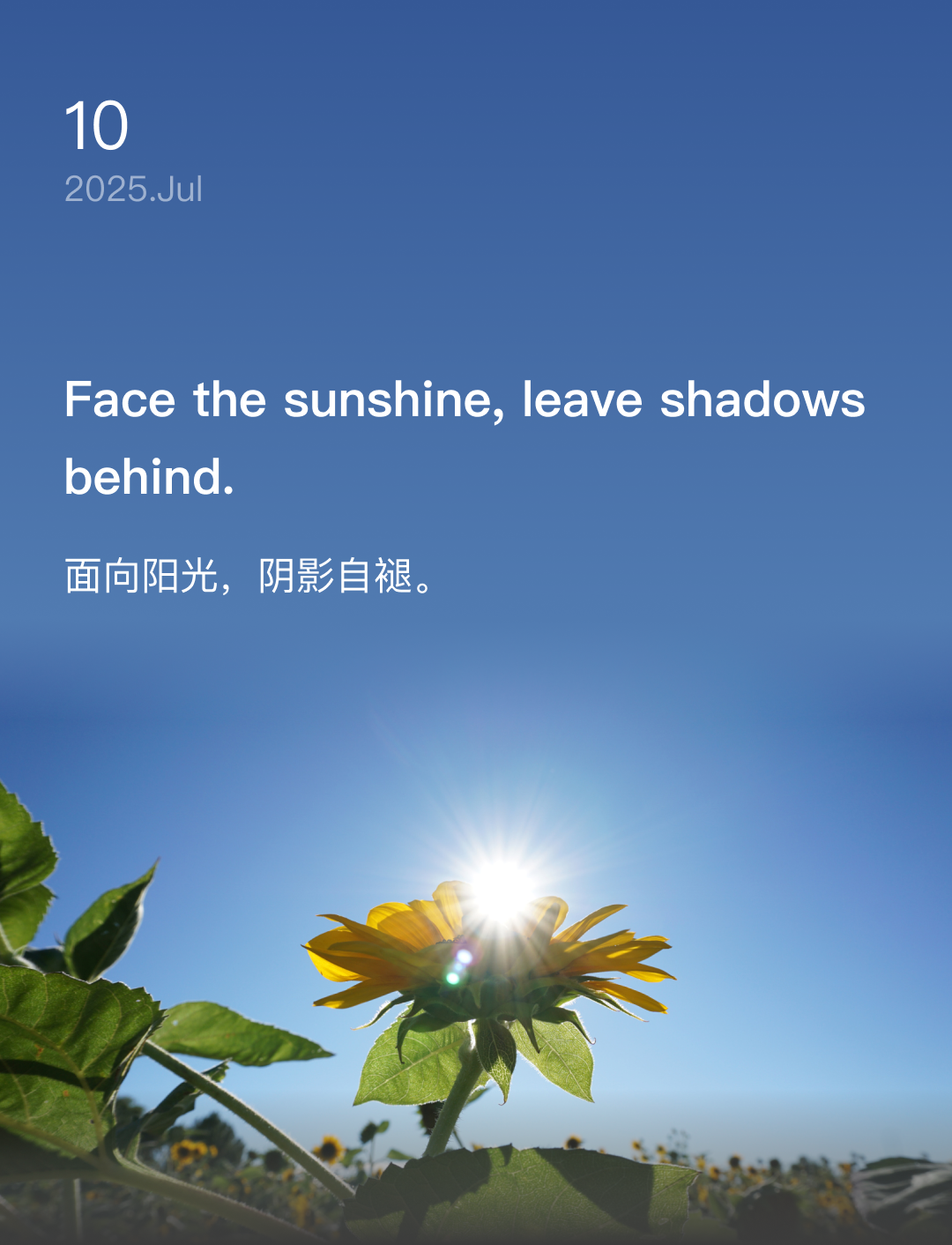 面向阳光，阴影自褪。