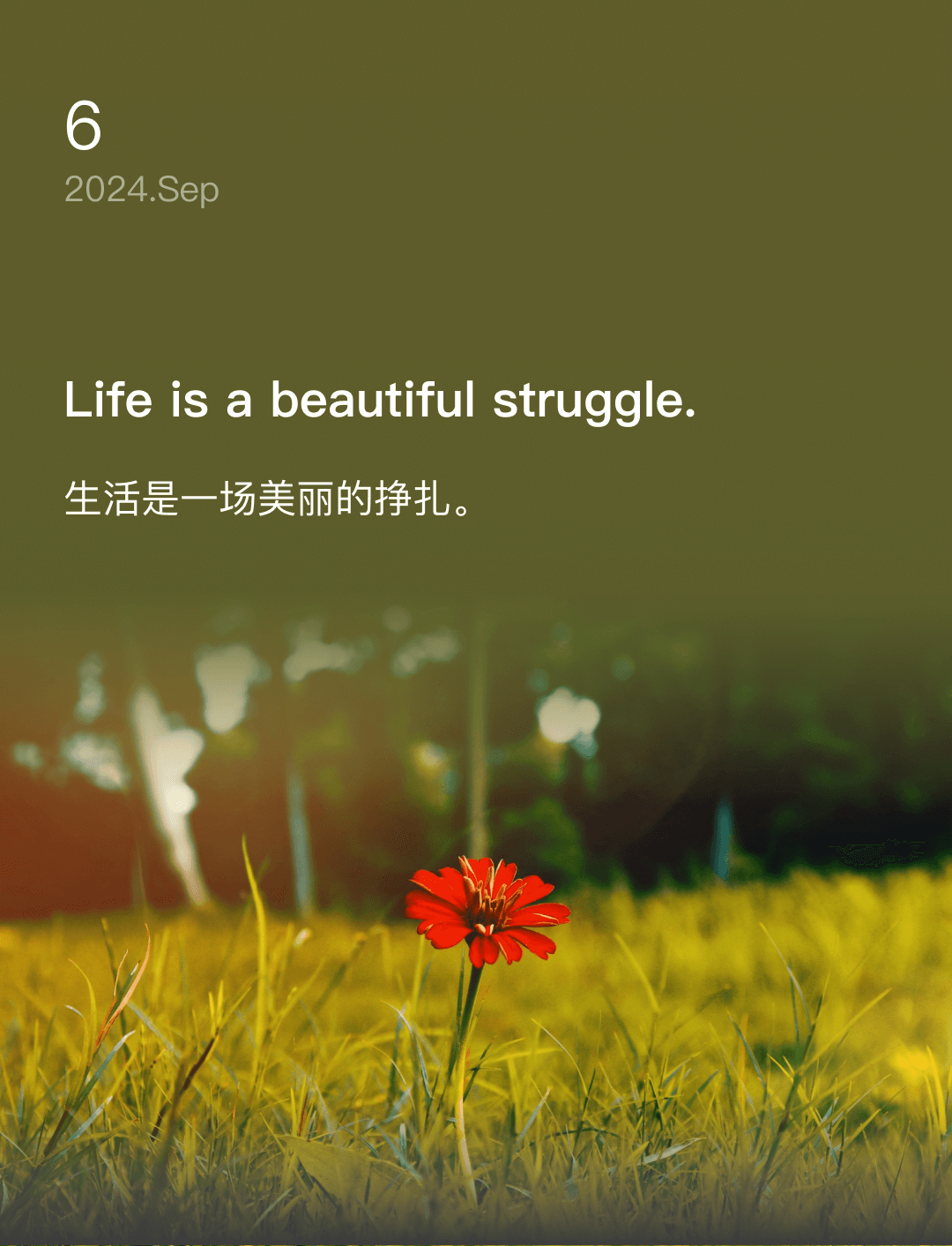 生活是一场美丽的挣扎。