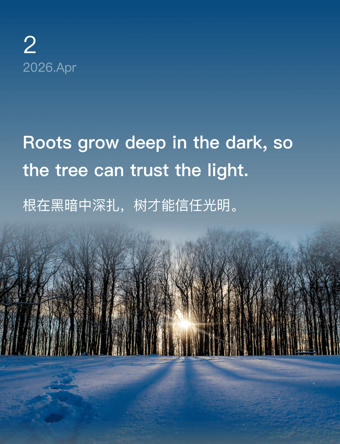 根在黑暗中深扎,树才能信任光明。