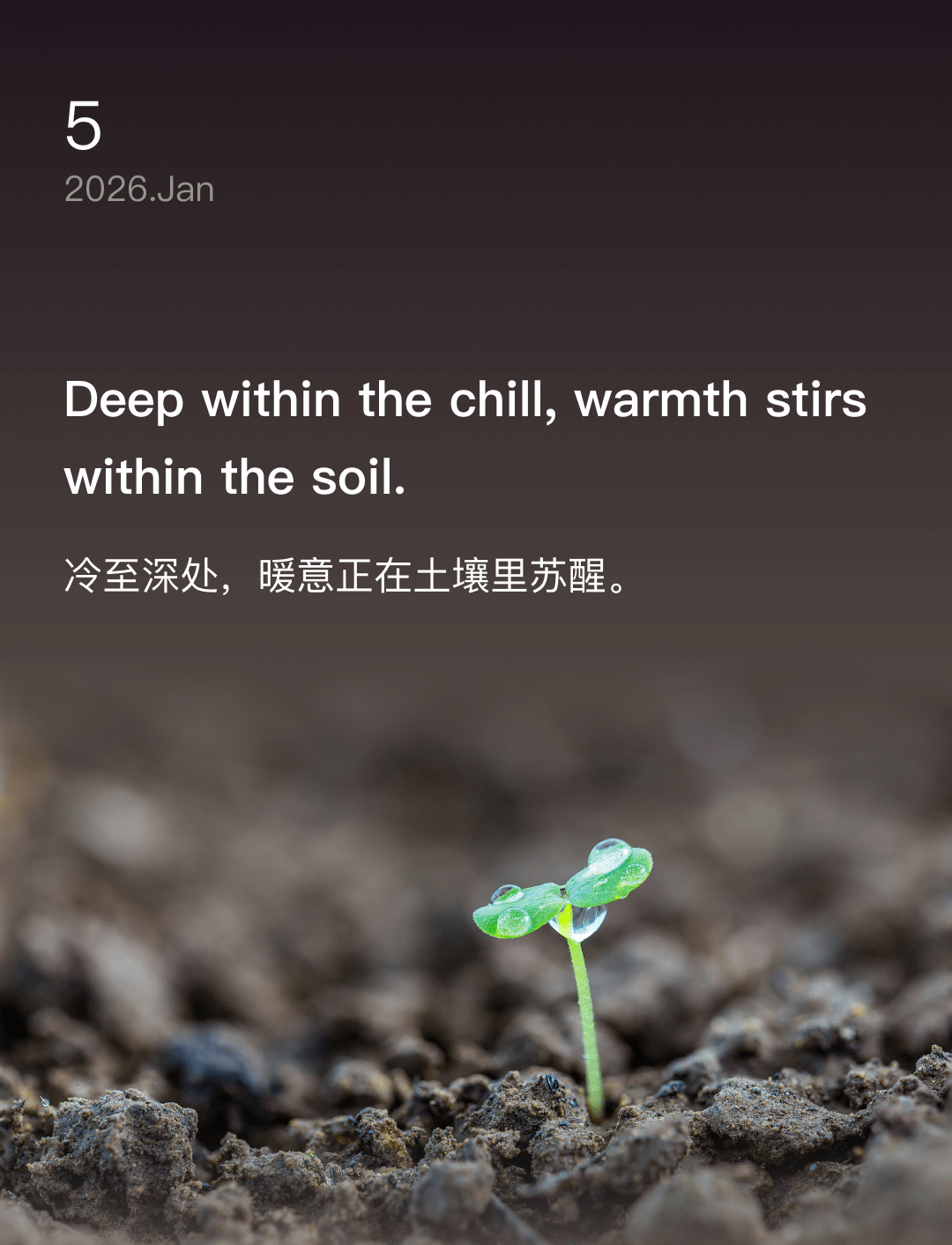 冷至深处，暖意正在土壤里苏醒。