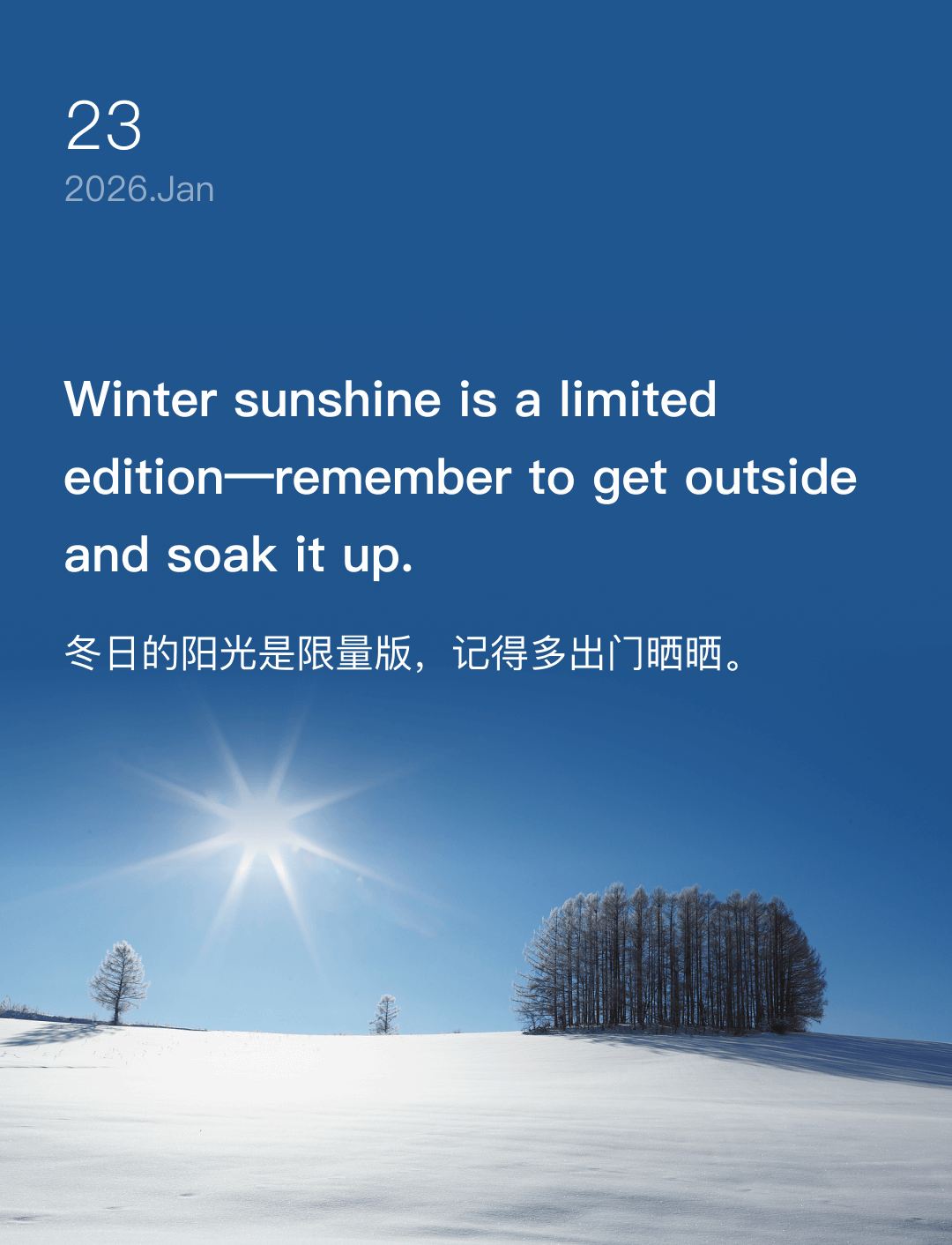 冬日的阳光是限量版，记得多出门晒晒。