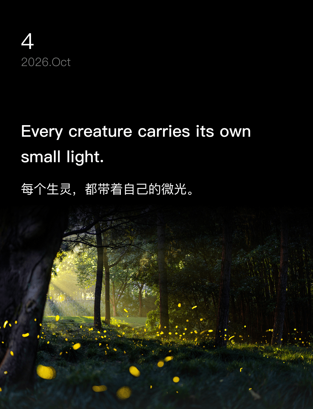 每个生灵,都带着自己的微光。