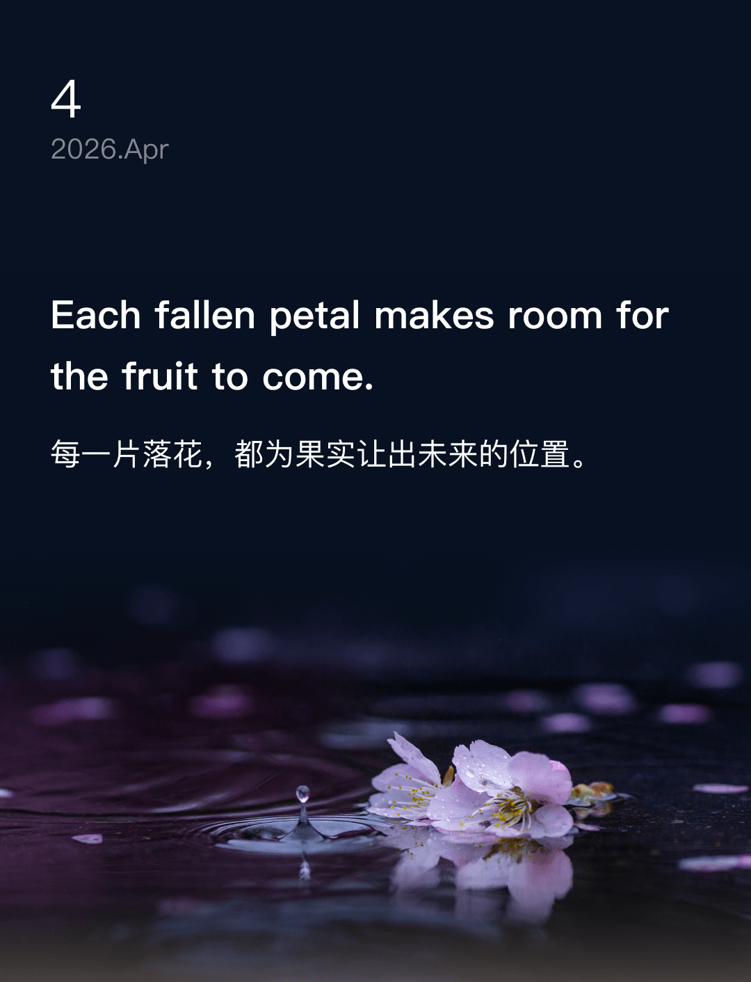 每一片落花,都为果实让出未来的位置。