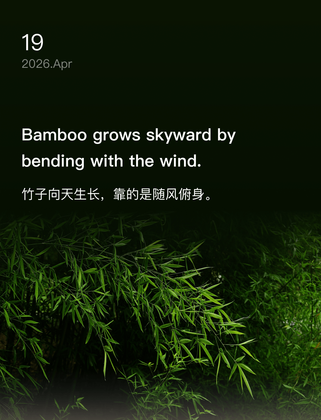 竹子向天生长，靠的是随风俯身。