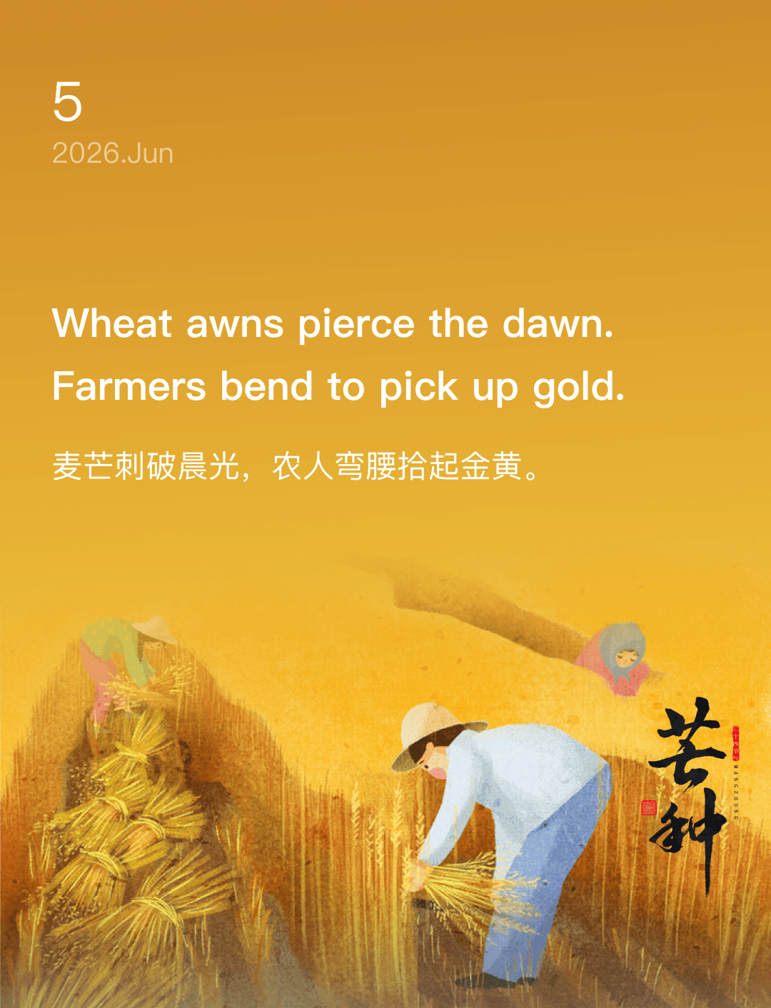 麦芒刺破晨光，农人弯腰拾起金黄。