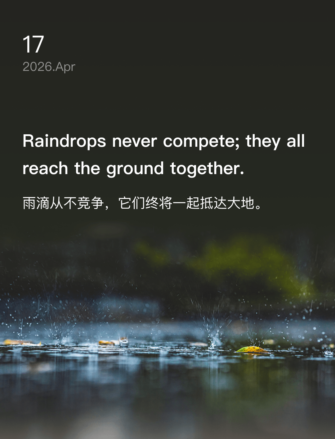 雨滴从不竞争，它们终将一起抵达大地。
