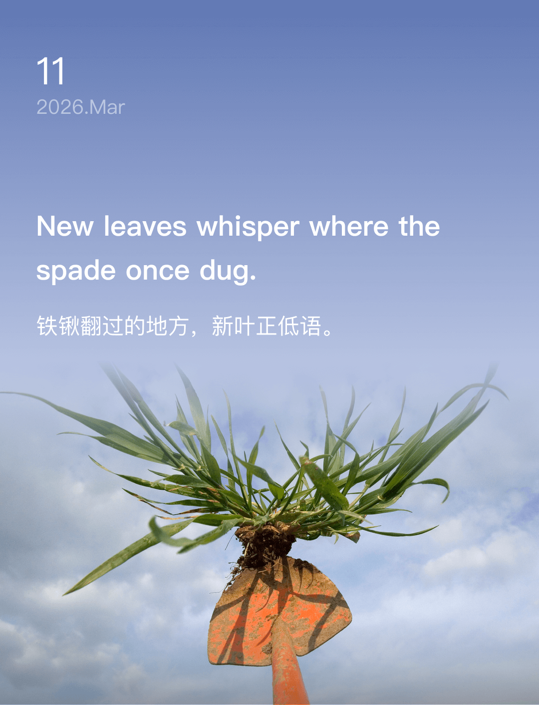 铁锹翻过的地方，新叶正低语。