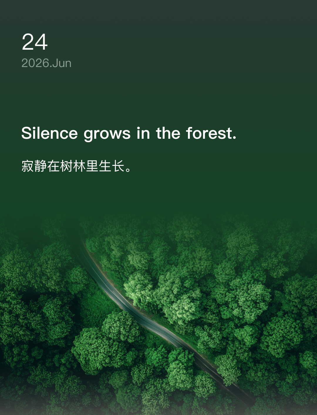 寂静在树林里生长。