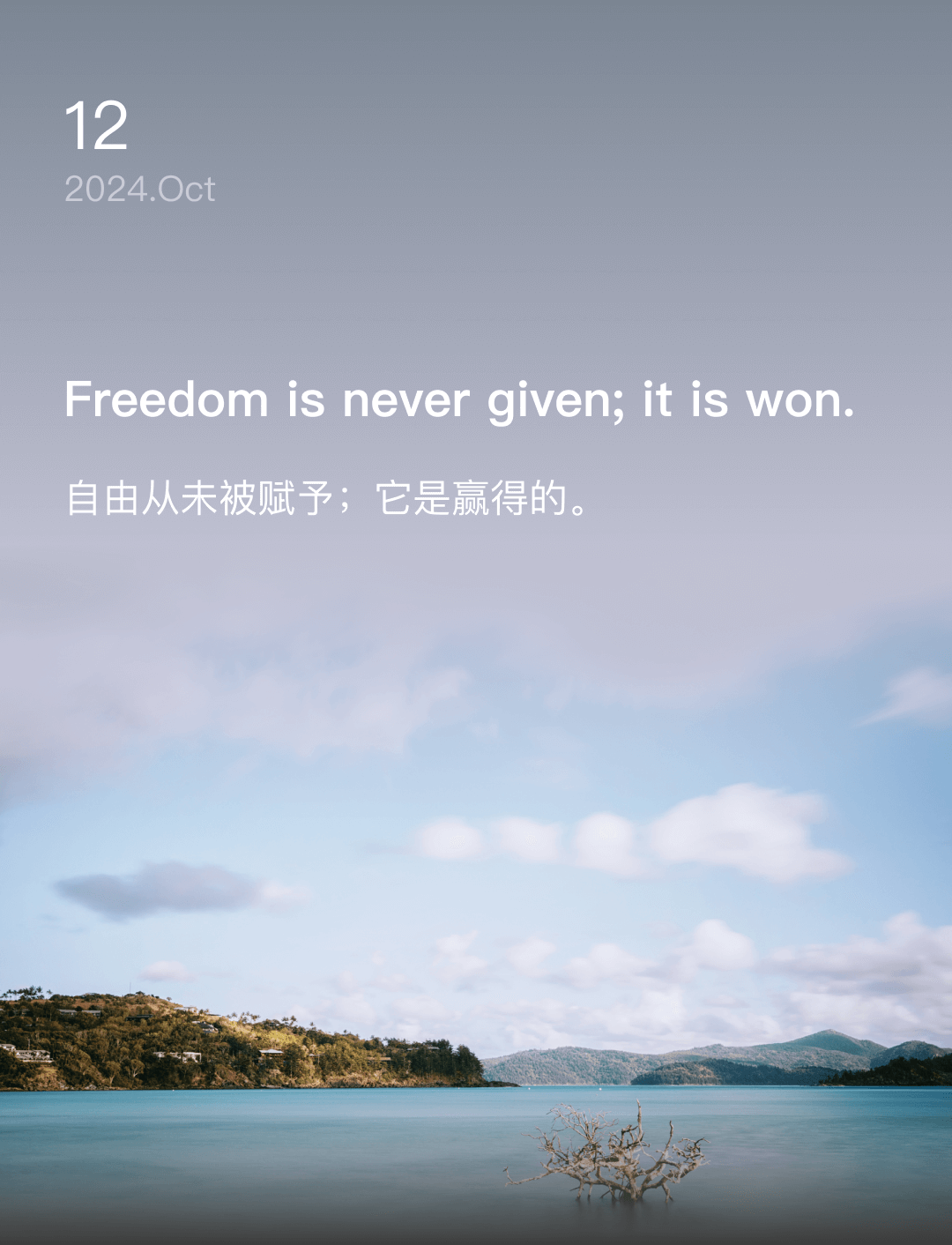自由从未被赋予；它是赢得的。