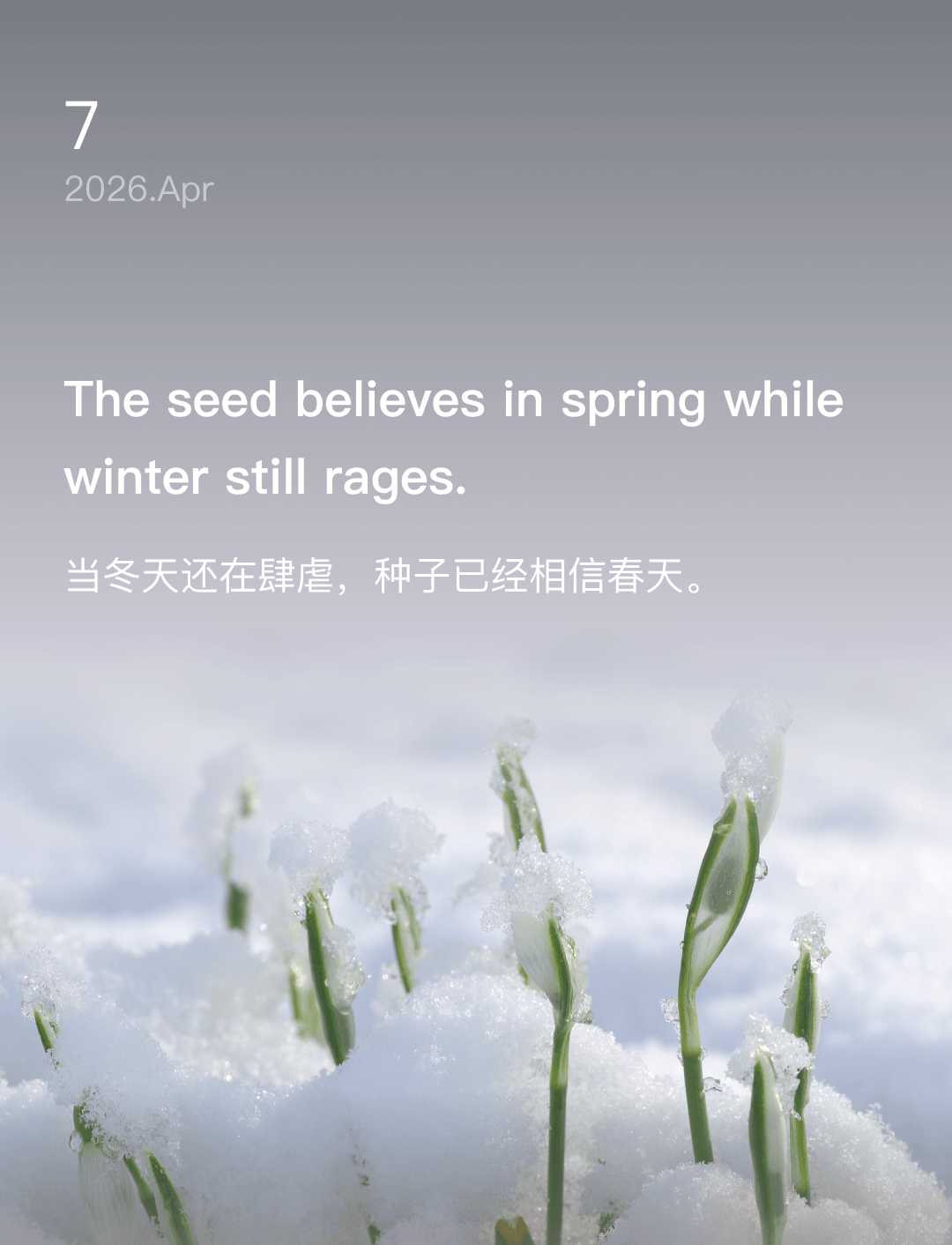 当冬天还在肆虐，种子已经相信春天。