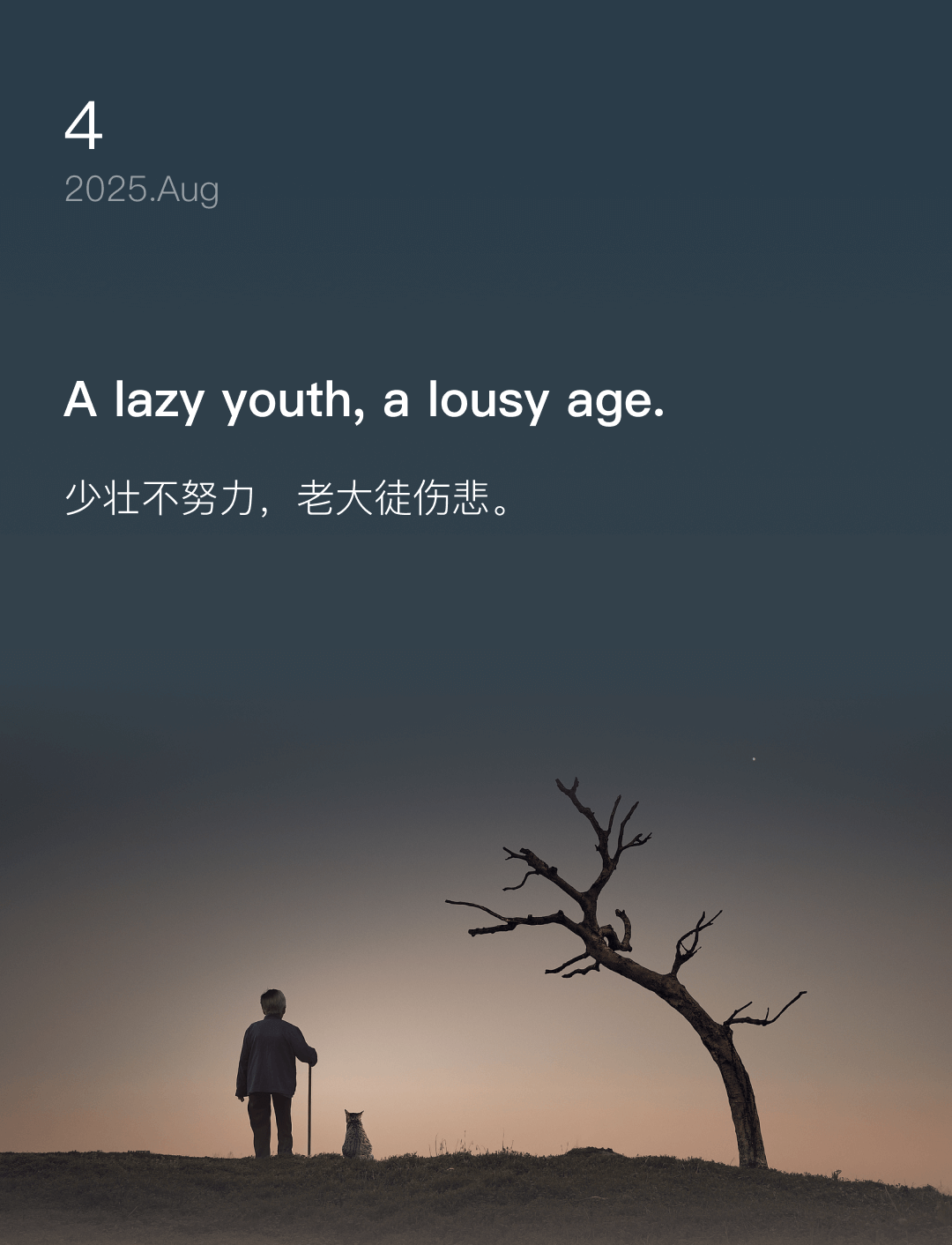 少壮不努力,老大徒伤悲。